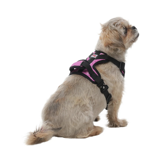 Arnés para Perro Totto Pets Draco 9IL Talla S