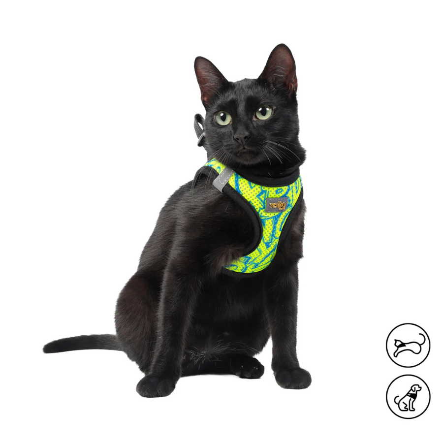 Arnés para Perro y Gato Totto Pets Toby 2AN Talla XS