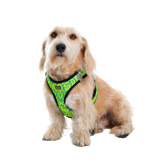 Arnés para Perro y Gato Totto Pets Toby 2AN Talla XS