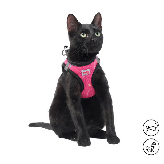 Arnés para Perro y Gato Totto Pets Toby 9IL Talla S