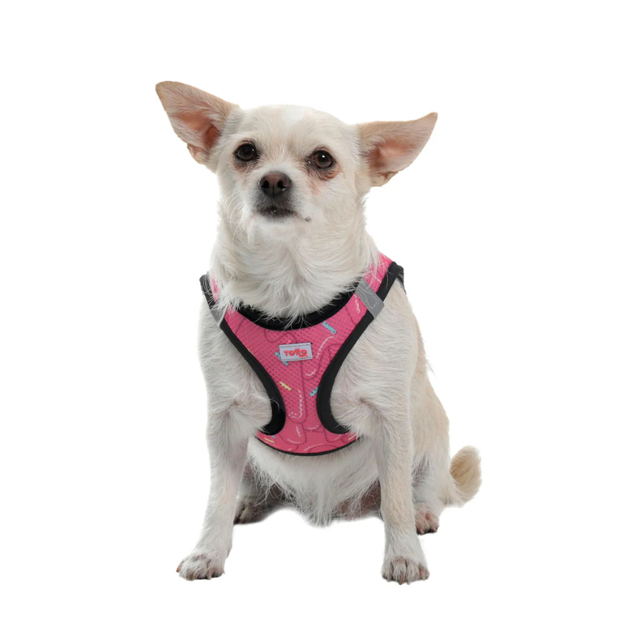 Arnés para Perro Totto Pets Toby 9IL Talla M