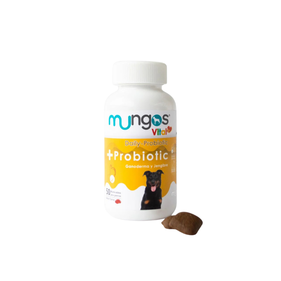 Tabletas Masticables Mungos Vital Probioticos 50 Und