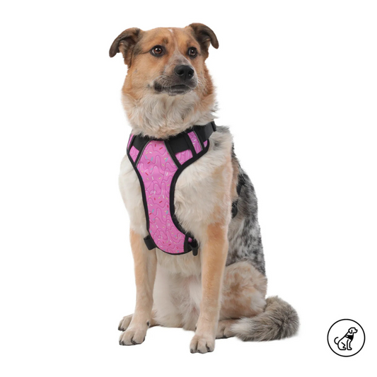 Arnés para Perro Totto Pets Draco 9IL Talla M