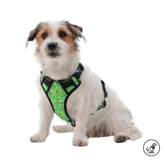 Arnés para Perro Totto Pets Draco AN02 Talla XS
