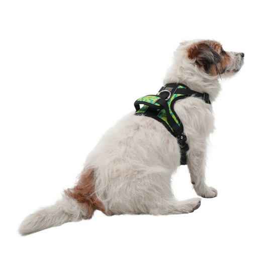 Arnés para Perro Totto Pets Draco AN02 Talla M