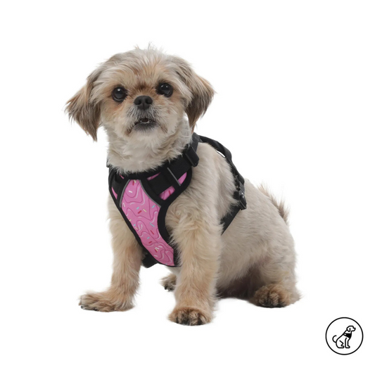 Arnés para Perro Totto Pets Draco 9IL Talla S