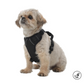 Arnés para Perro Totto Pets Draco N01 Talla XS