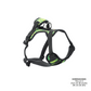 Arnés para Perro Totto Pets Draco AN02 Talla S