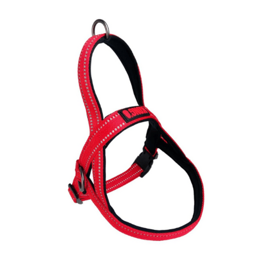 Arnés Kong Norwegian Small Rojo