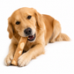 Rin Tin Toys Palito de Café Talla L