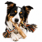 Rin Tin Toys Palito de Café con Lazo Talla L