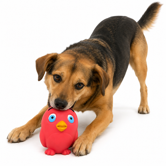 Perro marrón y negro mordiendo juguete masticable Ziggy Pajaro rosa con ojos azules