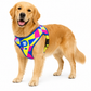 Zeedog Mesh Plus Harness Volt Talla L Ajustable