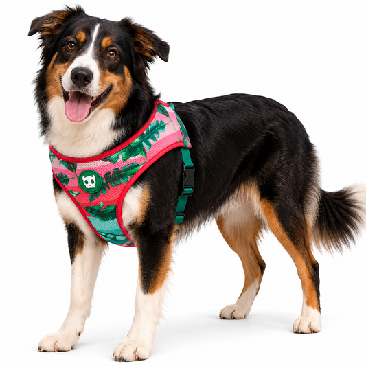 Perro con arnés Zeedog Mesh Plus Bali de diseño tropical rosado y verde