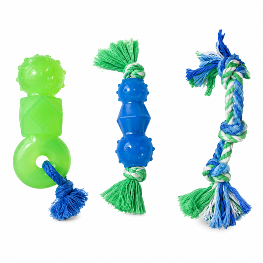 Outward Hound Mini DentaChew set de 3 juguetes dentales para perros pequeños con cuerda y texturas de goma
