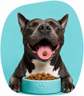 Nutrición Canina