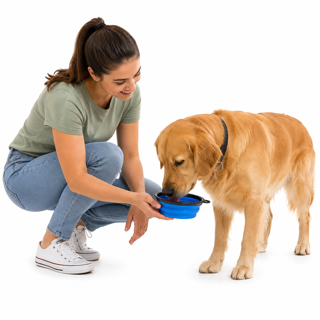 Plato Plegable Grande para Mascotas
