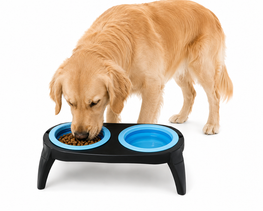 Comedero Doble Plegable con Pedestal para Mascotas Tamaño Mediano