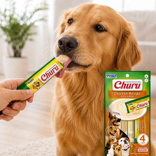 Golden Retriever comiendo un tubo cremoso Inaba Churu sabor pollo, con el empaque a la vista