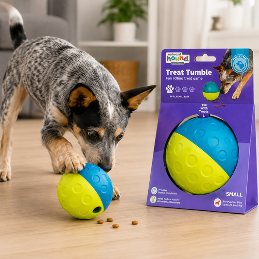 Perro jugando con pelota interactiva Outward Hound Treat Tumble azul y amarilla