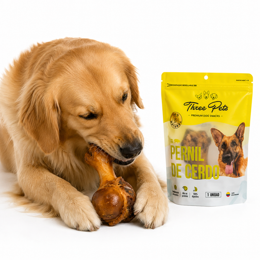 Golden Retriever disfrutando del snack natural Three Pets pernil de cerdo