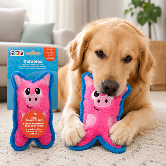 Juguete de cerdo rosado Outward Hound Durablez reforzado, junto a un Golden Retriever