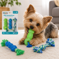 Outward Hound Mini DentaChew – Set de Juguetes Dentales para Perros Pequeños